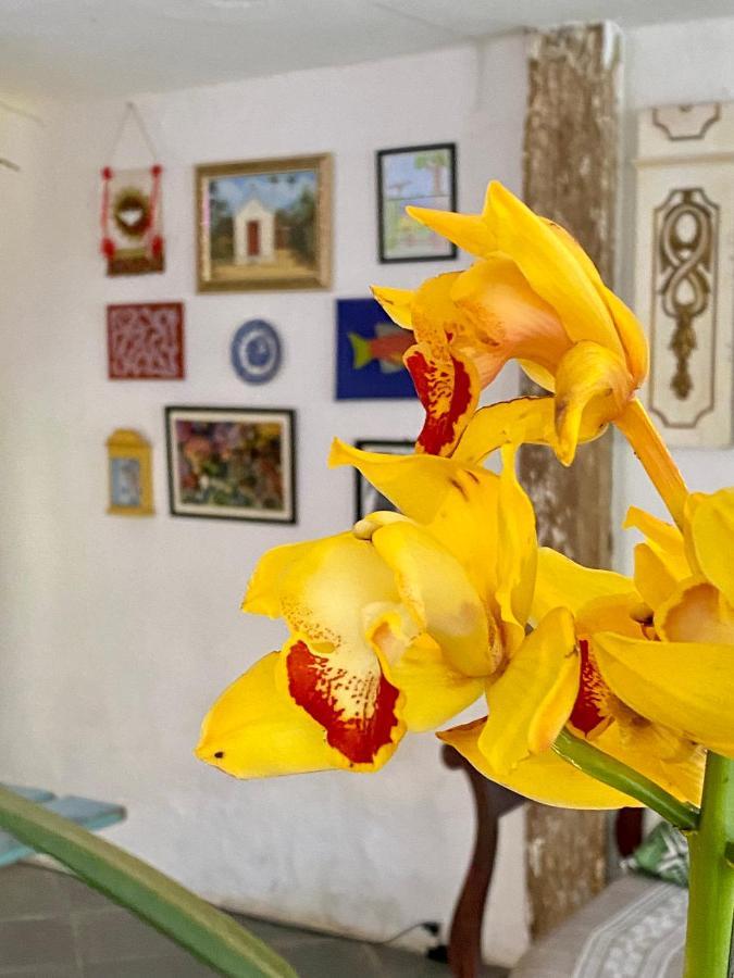 Hostel Dona Generoza Araquari Eksteriør billede